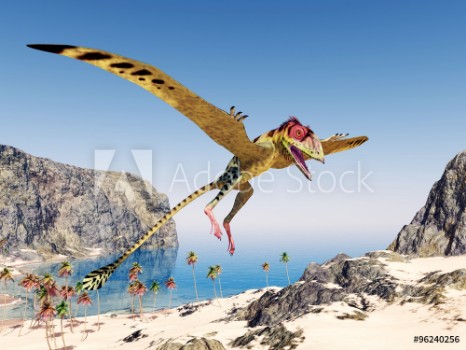 Bild på Pterosaur Peteinosaurus